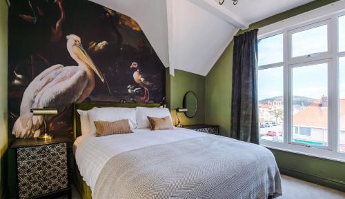 Standard Suite