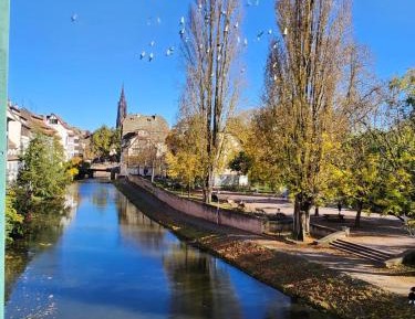 Apartment with Garden View