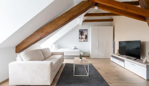 Family Two-Bedroom Apartment with View