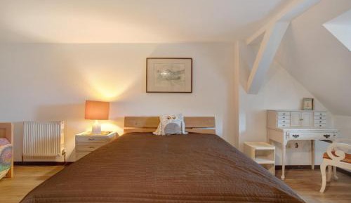 Superior One-Bedroom Apartment with Balcony