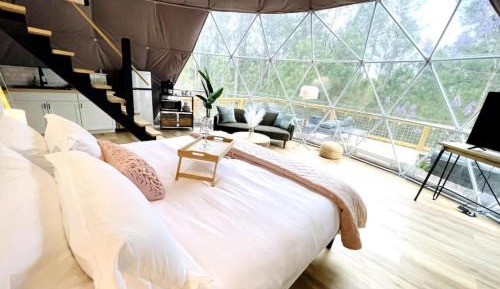 Deluxe Queen Suite