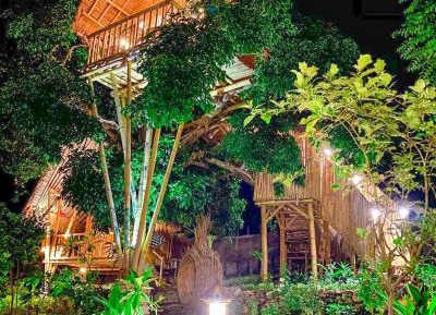 Tree House