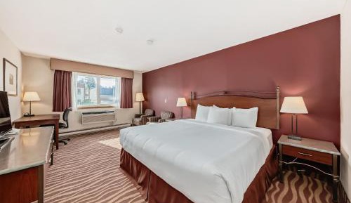 Standard King Room