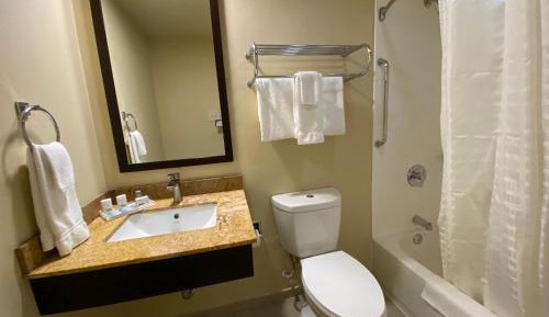 Standard King Room