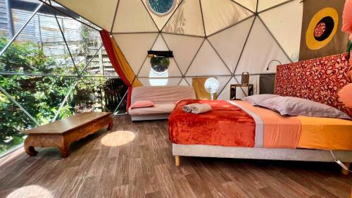 Dome 4 people (Funky)