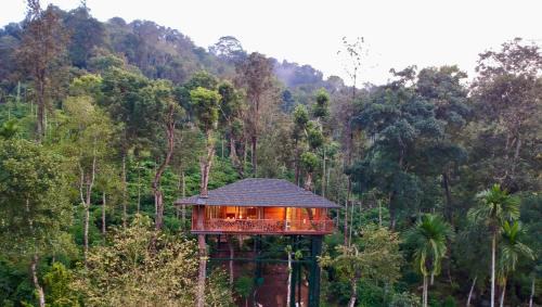 Tree Villa
