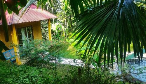 Double Room with Pool View