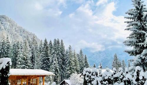 Superior Chalet