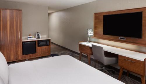Studio, 1 King, Sofa bed