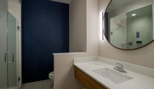 Suite, 1 King, Sofa bed