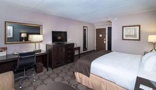 Junior King Suite - Non-Smoking