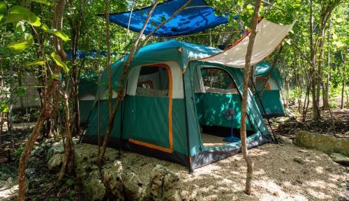Tent