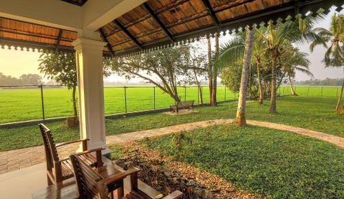 Superior room with Paddy field view