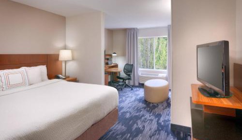 King Suite with Sofa Bed