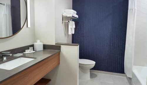 Executive King Suite with Sofa Bed
