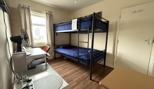 Bunk Bed in Mixed Dormitory Room