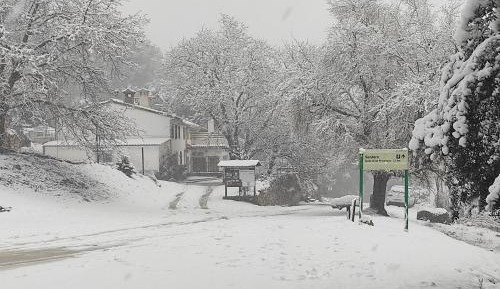 Twin Room with Balcony