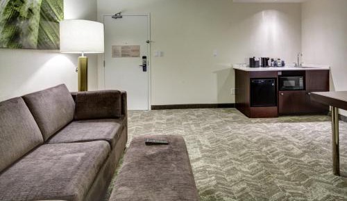 Suite with Sofa Bed
