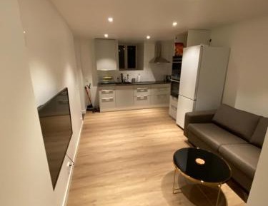 One-Bedroom Deluxe Apartment