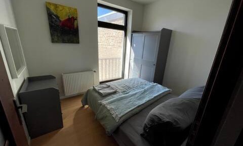 Deluxe One-Bedroom Apartment