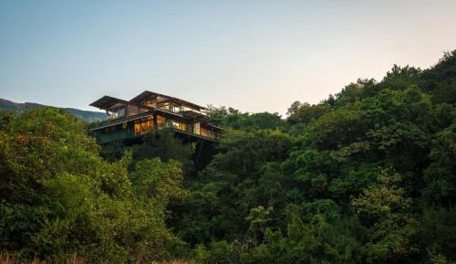 Deluxe Queen Suite - Forest Machan