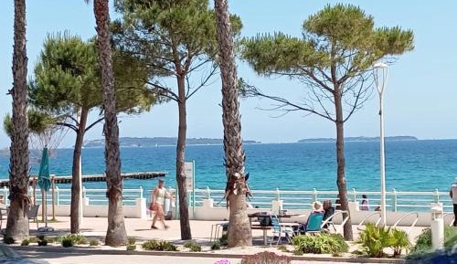 Apartment with Garden View