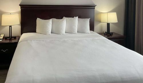 One-Bedroom King Suite