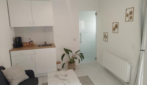 One-Bedroom Apartment with Garden View