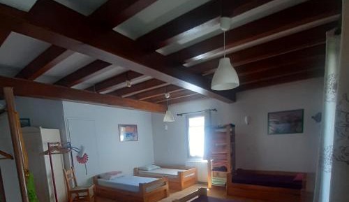 Single Bed in Mixed Dormitory Room