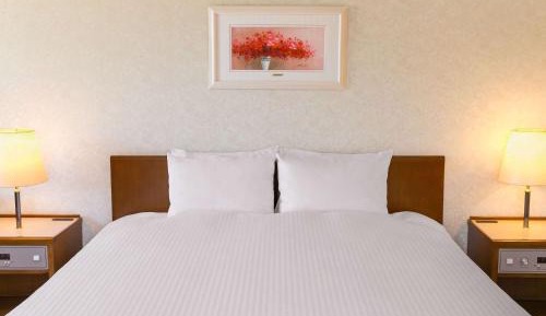 Classic Room with One Double Bed and One Sofa Bed - Mountain View