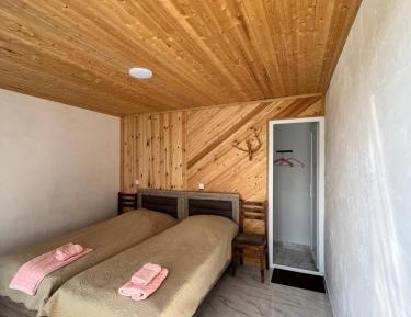 Deluxe Double or Twin Room with Mountain View