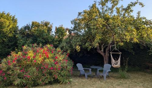 Studio with Garden View