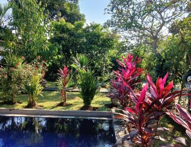 Double Room with Pool View