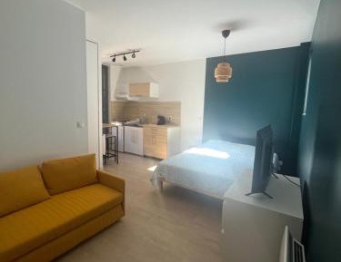 King Studio with Sofa Bed