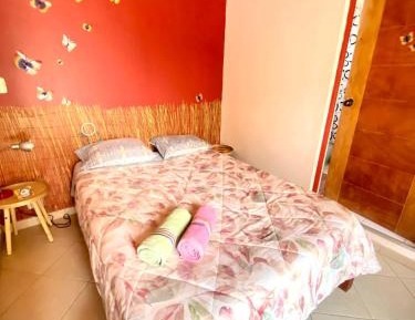 Single Room with Garden View