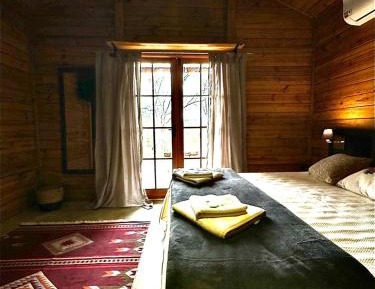 Suite with Terrace