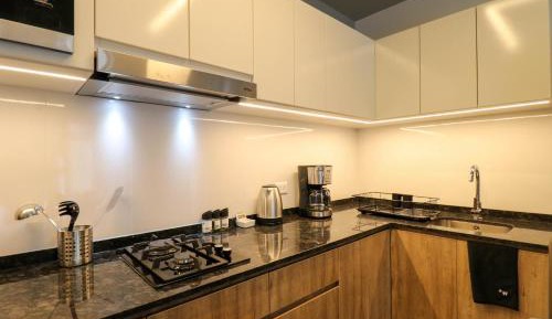Deluxe One-Bedroom Apartment