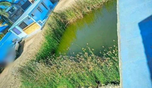One-Bedroom Apartment with Garden View