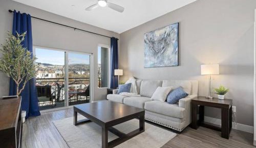 Deluxe One-Bedroom Apartment