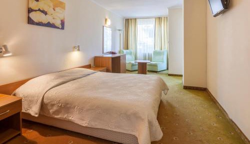 Suite with Infrared Sauna and Balcony