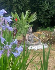 Studio with Garden View