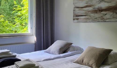 Twin Room - Disability Access