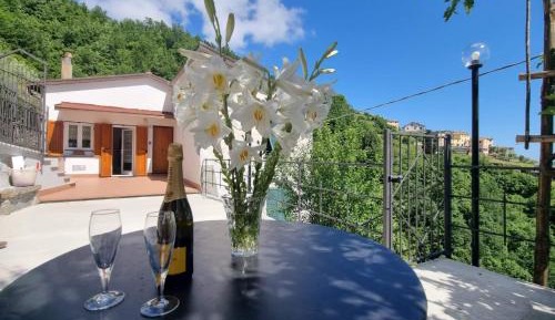 Two-Bedroom Apartment with View