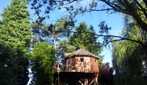 Tree House