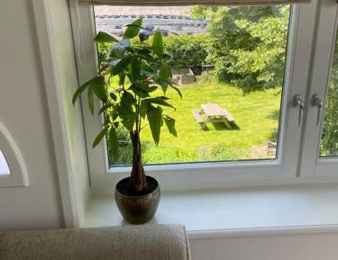One-Bedroom Apartment with View