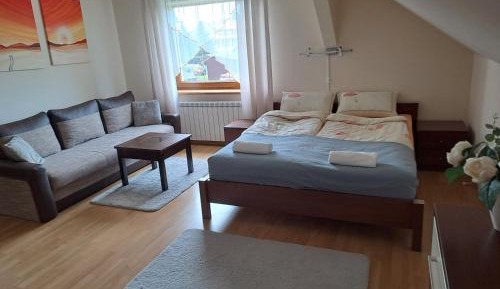 One-Bedroom Family Apartment