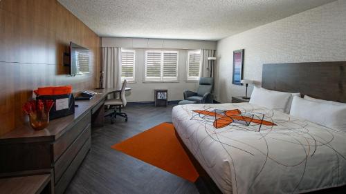 King Room
