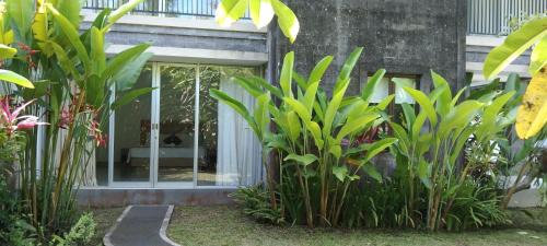 One-Bedroom Villa