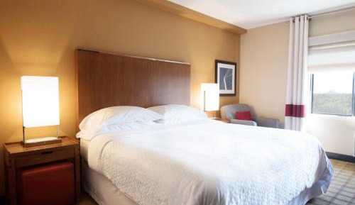 Guest Room, 1 King