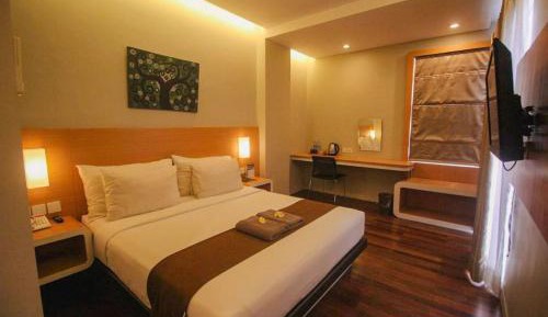 Deluxe Double or Twin Room